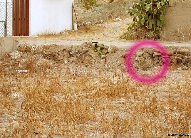 E kur Autors: DIRSAPISEJS Atrod kaķi. Dienas uzdevums.