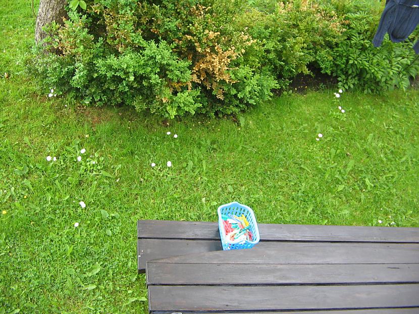 Autors: varenskrauklis Dārzā atradu to, ko pat nebūtu iedomājies, ka var atrast
