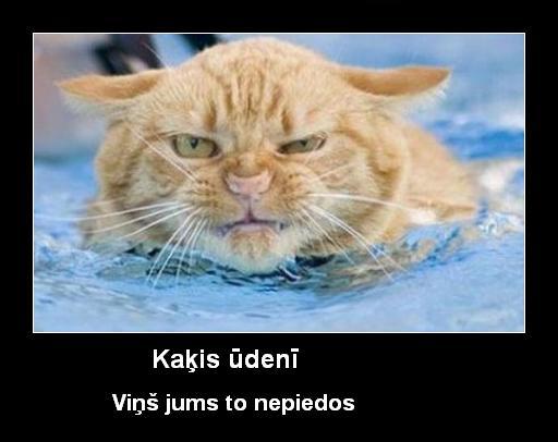 Autors: kreksss Pavisam Melni