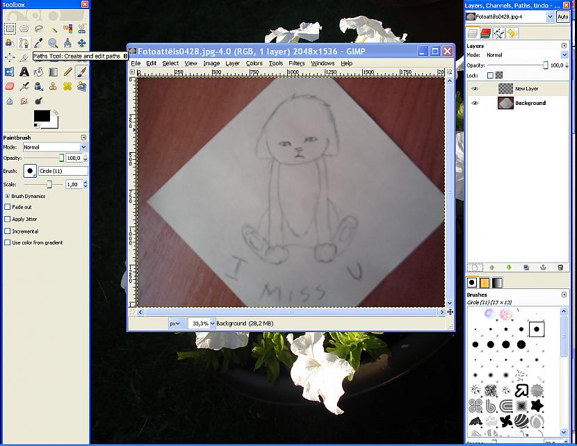 nbspNākamā programma Gimp... Autors: mikadina Noskumis kaķītis 2. solis