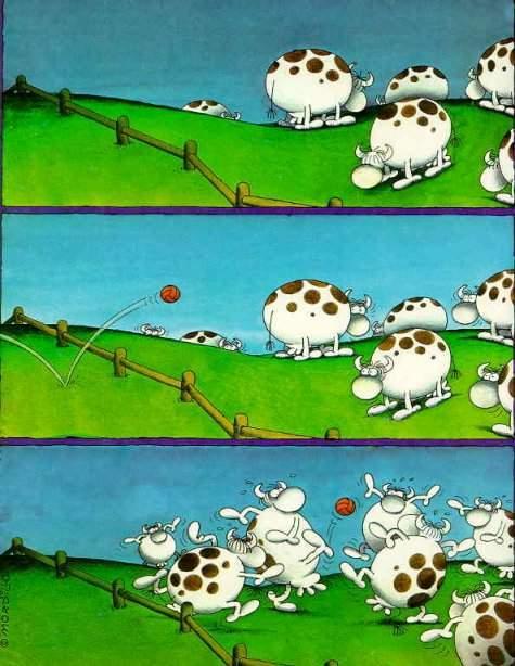 Autors: zirnekļcūks Cartoon Pictures #61