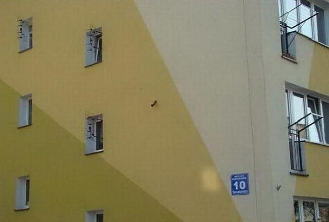 Autors: osvalds1 WTF? Kā šito var dabūt gatavu
