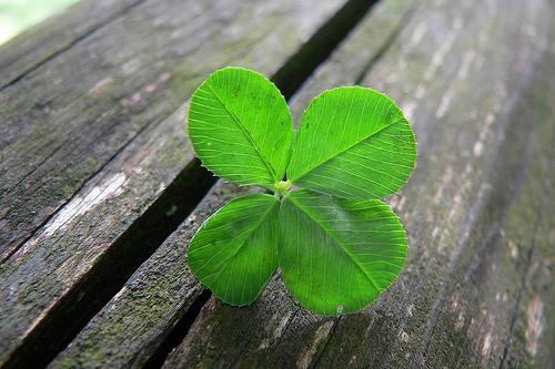 Lai izdodas Autors: The Diāna Esi forever alone?