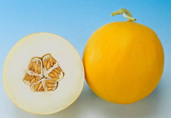 Arbūziem un melonēm ir daudz... Autors: Fosilija Intresanti-arbūzs,melone...