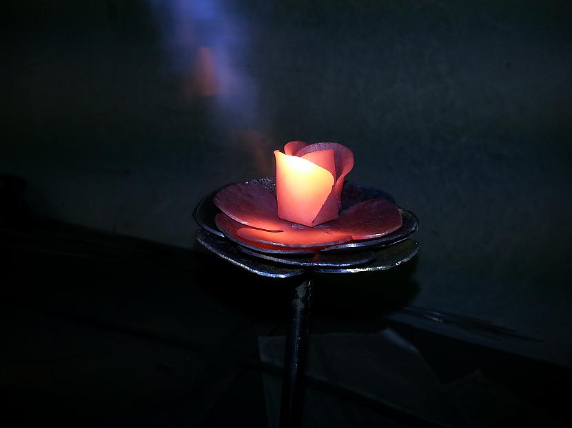 skaisti Autors: kpot Roze no metāla. Never ending rose. Metal rose hand made