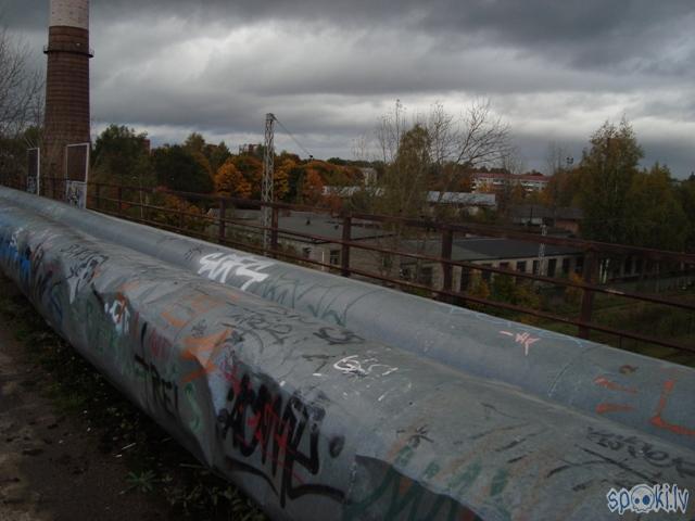 Autors: Čeirāne Sasistā dzīve (2)