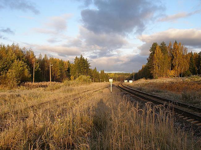 Dabā IeriķuGulbenes līnija... Autors: Carloss Dzelzceļa stacijas un pieturas punkti līnijā Ieriķi-Gulbene