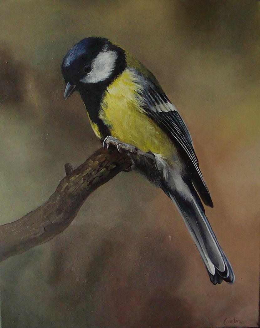 quotzzquotgleznojumsnbspaudekls eļļanbsp40x50cm201... Autors: Pēcnācējs Jaunas LATVIEŠU meitenes zīmējumi un gleznas