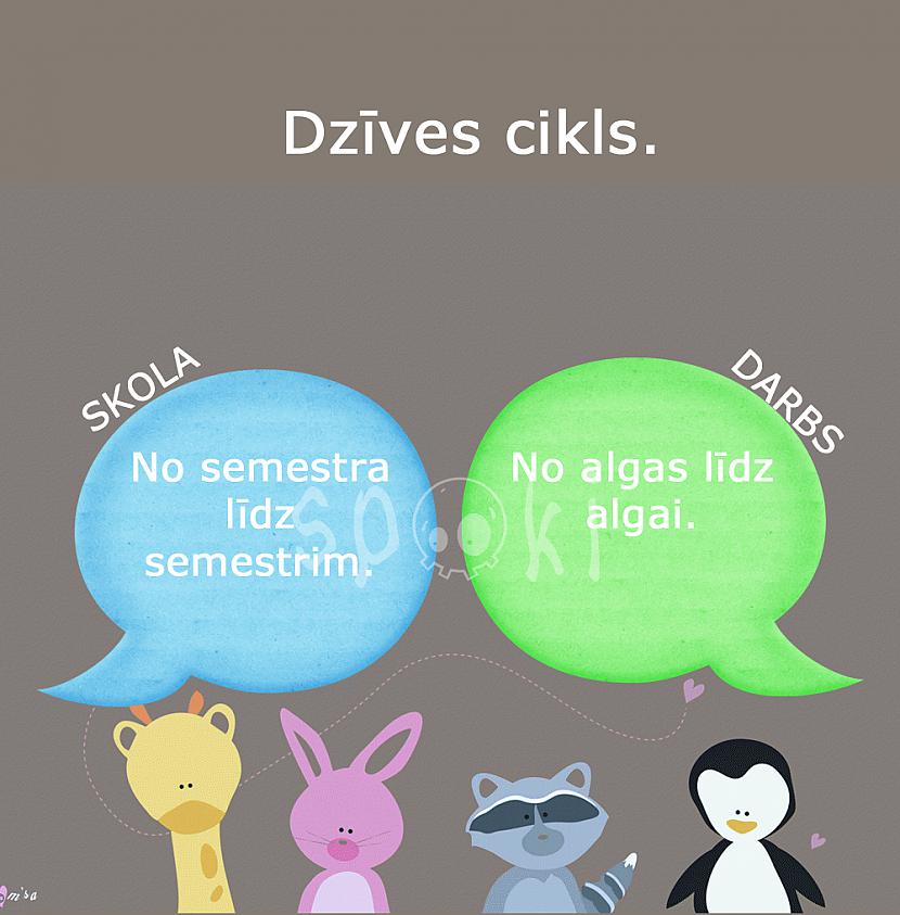Autors: matilde 10 būtiskas atšķirības starp SKOLU un DARBU.