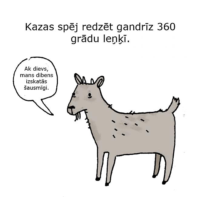 Autors: matilde 40 bēdīgi fakti par dzīvniekiem.
