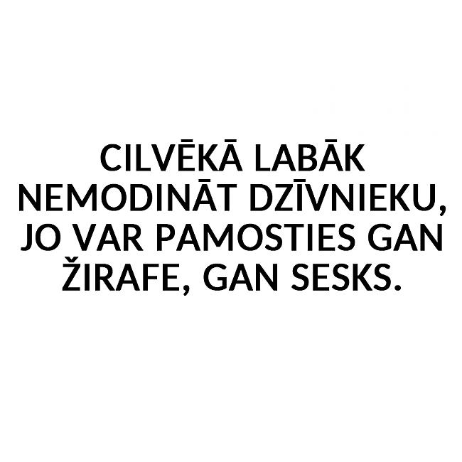 Autors: matilde 20 ideāli joki, kas ir jāzina no galvas katram!