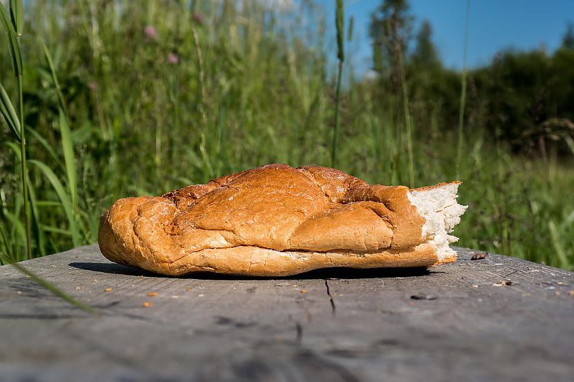 Autors: zmpi Jaukas un nejaukas bildītes.