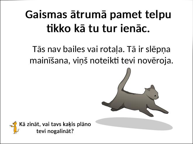 Autors: matilde Kā zināt to, vai tavs kaķis plāno tevi nogalināt?