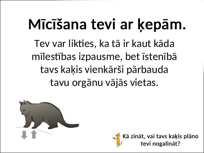 Autors: matilde Kā zināt to, vai tavs kaķis plāno tevi nogalināt?