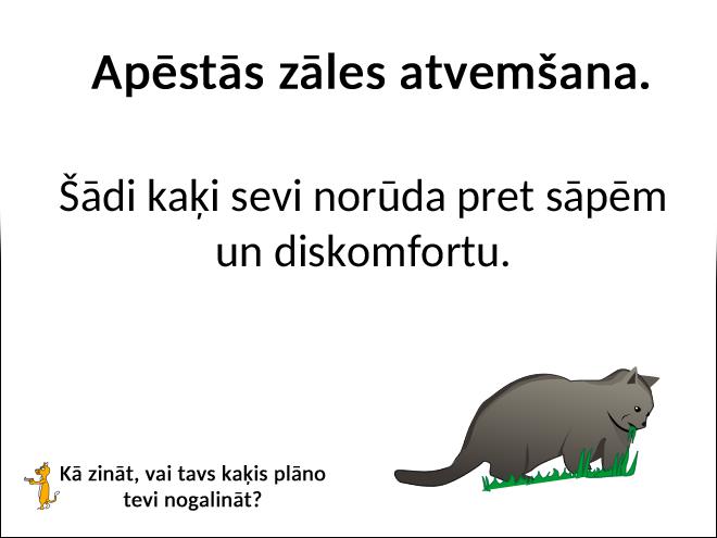 Autors: matilde Kā zināt to, vai tavs kaķis plāno tevi nogalināt?