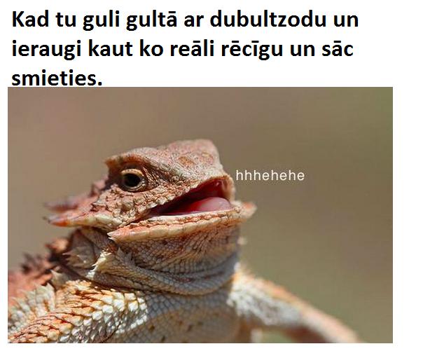 Autors: matilde 21 smieklīga memīte par tipisko telefona lietotāju. Atpazīsti sevi?