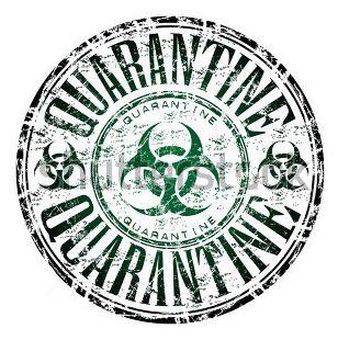 Autors: infectedgrrl Quarantine