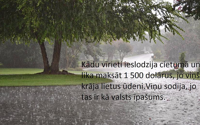 Autors: Mārtiņš2 Pārsteidzoši fakti(5)