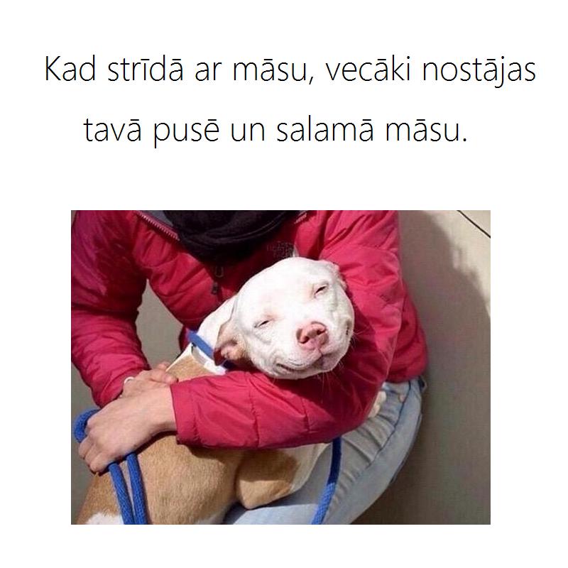 Autors: matilde 16 attēli, kurus nesapratīs tie, kuriem nav māsas