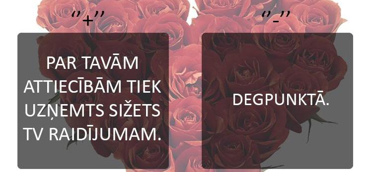 Autors: matilde Valentīndiena: Kādi ir plusi un mīnusi?