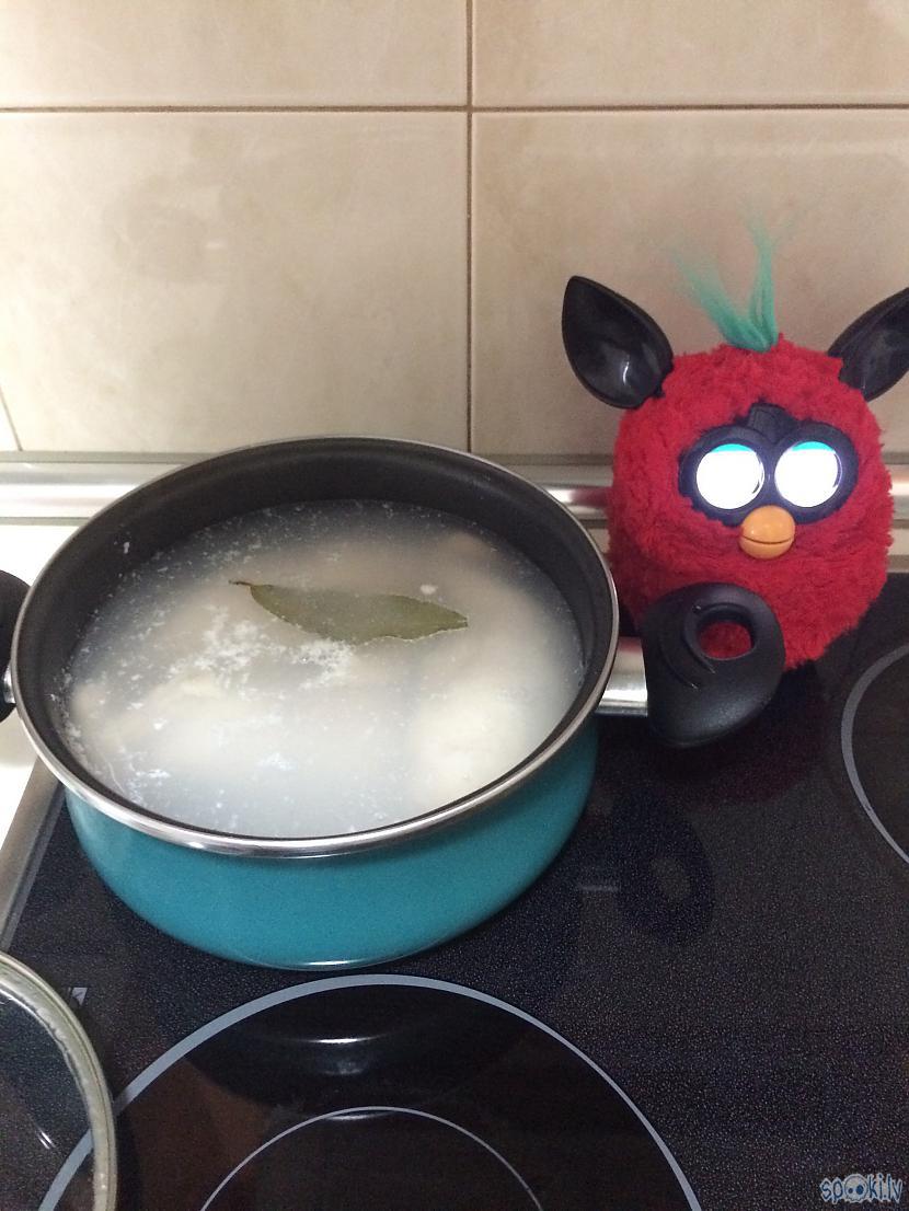Sākam taisīt pildījumu no... Autors: PrincesaChicle Venecuēliešu arepas (noderīgi studentiem).