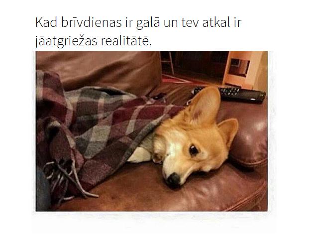 Autors: matilde 21 attēls, kuru sapratīs visi slinkie cilvēki