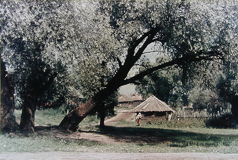 Autors: Lestets Zudusī Krievija