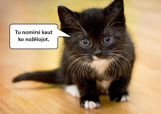 Autors: matilde Dzīvnieku mazuļi atklās tev skarbo dzīves patiesību