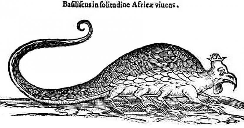 Prodigiorum Ac Ostentorum... Autors: Lestets Savādākas grāmatas
