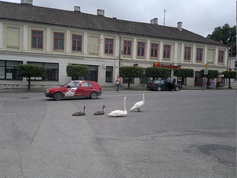nbsp nbspPirmais ko var... Autors: Laciz Ko var izdarīt 2000 dienās spokos?