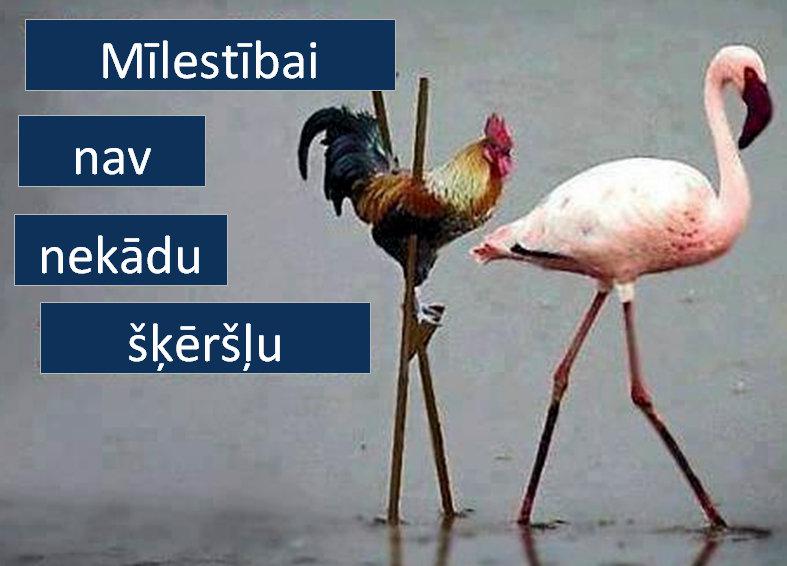 Autors: rasiks Omes joki