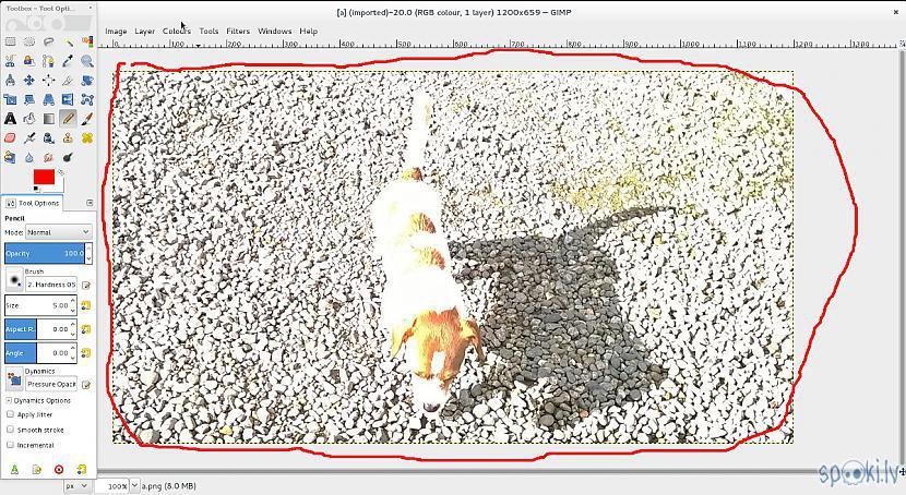 Autors: Strāvonis GIMP, bildes aptumšošana