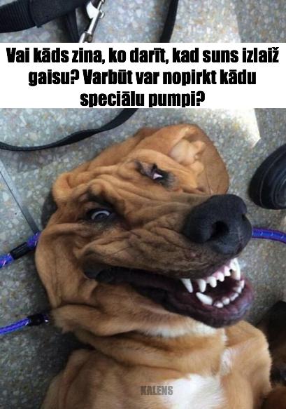 Autors: KALENS Bildes, kas uzlabos Tavu garastāvokli