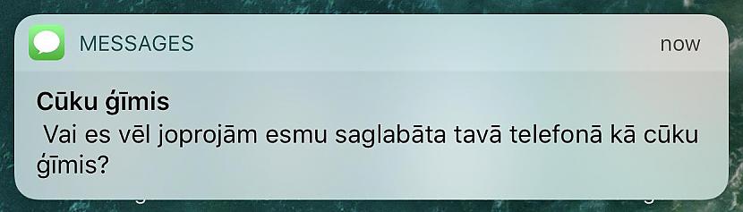 Autors: KALENS SMS pērles 5: Tu esi stāvoklī vai neesi?!