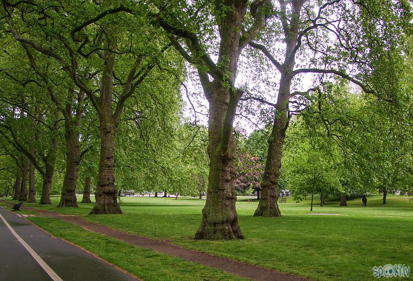 Haidparks Londona vasarā Autors: blusu_kerajs Digitālās asociācijas