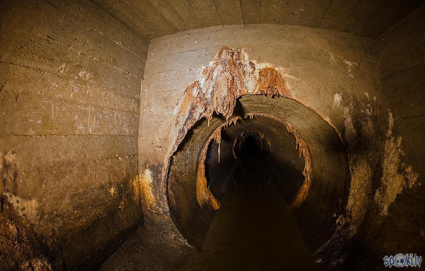 Autors: Eronymusdead Bradājums: slapjie, brūnie tuneļi