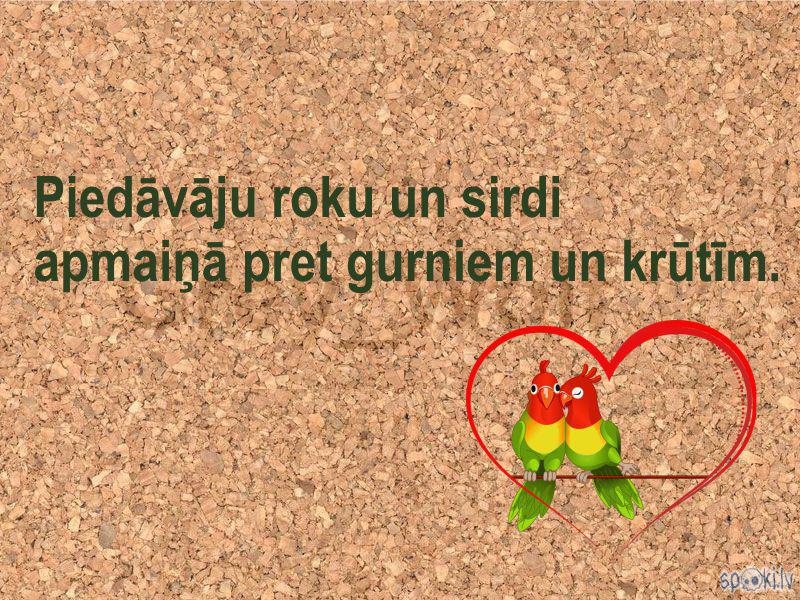 Spoki joko