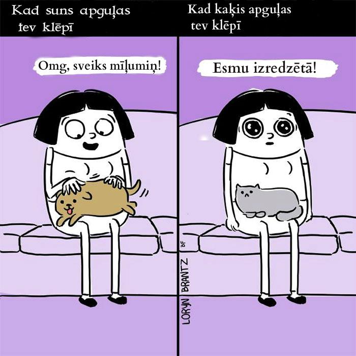 Autors: slepkavnieciskais Jautras atšķirības starp kaķiem un suņiem.