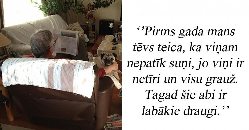 Autors: matilde 19 cilvēki, kuri ātri mainīja savas domas par mājdzīvniekiem