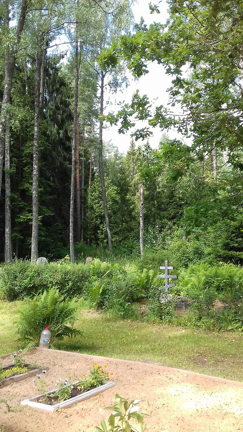 Autors: Griffith Pagājušā gada vasara, 19. jūlijs.