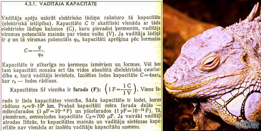 Autors: Strāvonis Kā apgūt vairāk?