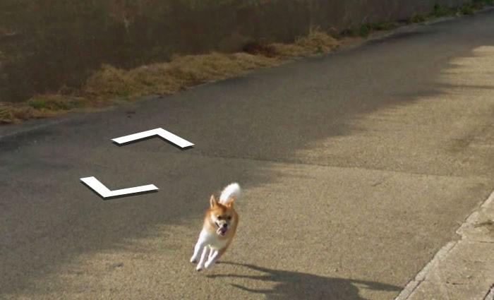 Autors: matilde Skaties kā Japānā kāds suns centās noķert «Google Street View» automašīnu