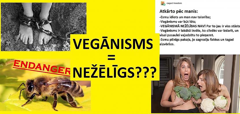 Autors: The Diāna AKTUĀLI: Vegānisms nogalina?