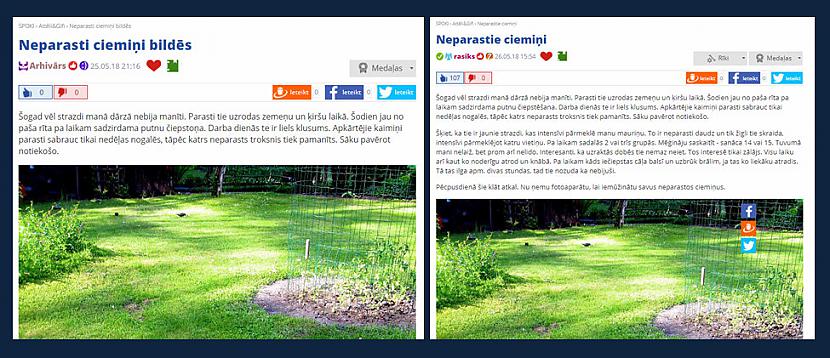 Viens reāls gadījums no... Autors: rasiks No omes piezīmju klades (41)