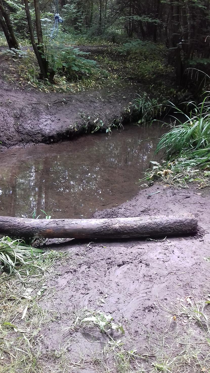 Autors: Griffith Pēdējā maija diena, 31.5.18