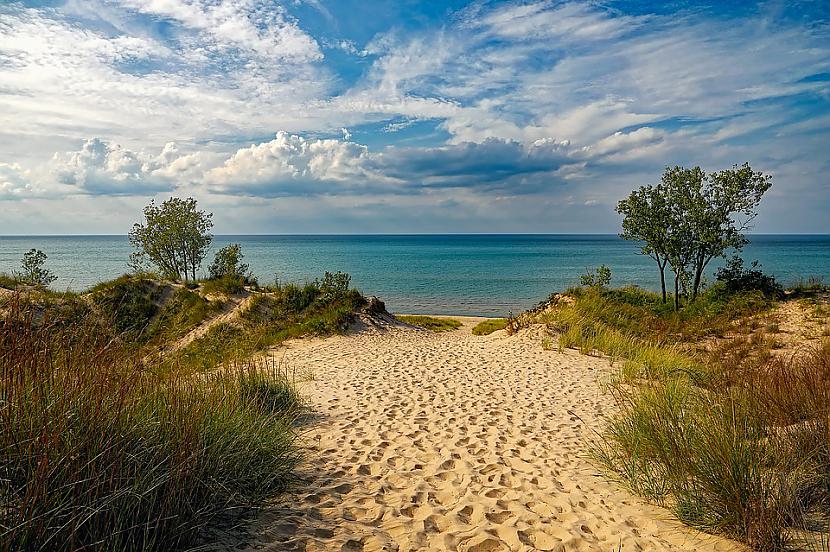 Foto Pixabaypyrathe kamēr... Autors: Lestets Kuru Spoku tu izvēlēsies par savu istabas biedru?