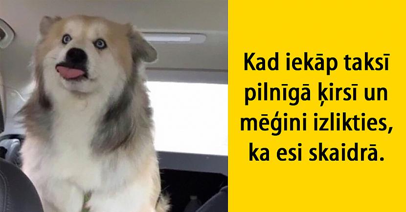 Autors: matilde 15 patiesi joki, kurus sapratīs tie, kas ikdienā brauc ar taksi