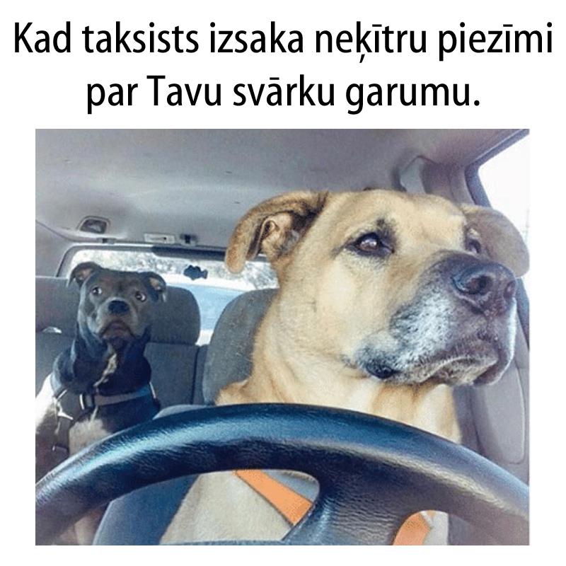 Autors: matilde 15 patiesi joki, kurus sapratīs tie, kas ikdienā brauc ar taksi