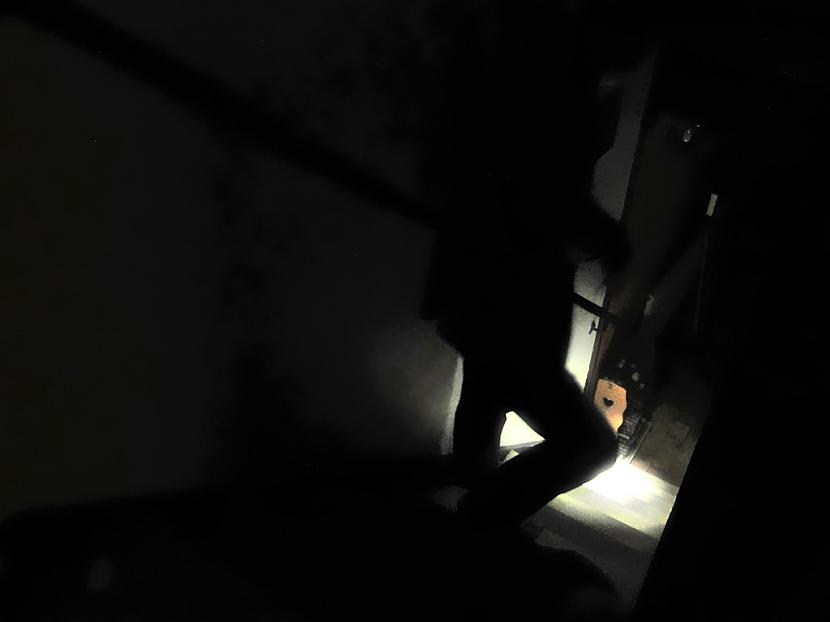 Viņscaron ielavījās vairākos... Autors: Artemiis Šausminoši fakti par «Džērsijas Monstru» - Edvardu Peisnelu