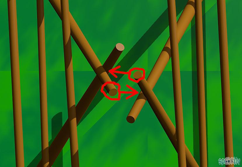 Autors: Strāvonis Zārds (svarīgākais)